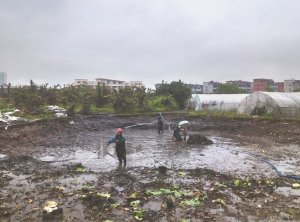 南开河道鱼塘清淤